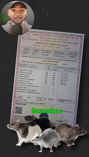 how to find | missing marksheet ✅