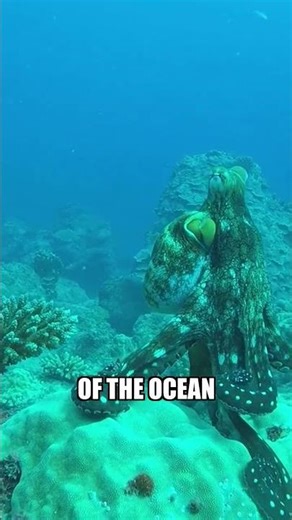 5 Fascinating Underwater Ecosystems You Didn't Know About #shorts