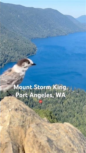 Top of Mount storm King ; west of Port Angeles, Washington #olympicnationalpark #washington psalm 91