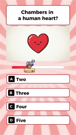 Chambers in a human heart?