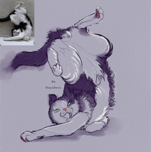 Cat Speed Drawing 🐾 | Funny Flexi Cat Pose #shorts