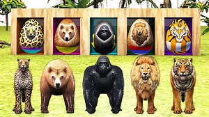 1.1M views · 15K reactions | Animals wrong eggs matching game for kids ll Forest animals names and sounds ll Kidz Rhymes | Colors For Kids | Facebook
