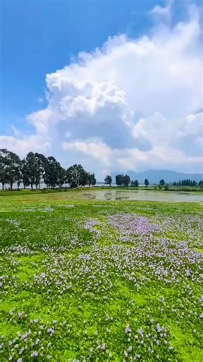 nhạc hay cảnh đẹp ck đò sang ngang