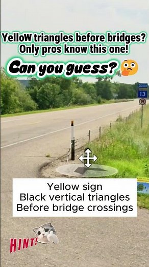 This yellow bridge sign reveals the exact state! 🌍 #GeoGuessr