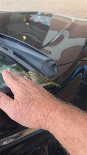 1K views · 19 reactions | Went to pick up check at attorneys office and This Happened | Surplus Funds Riches | Facebook