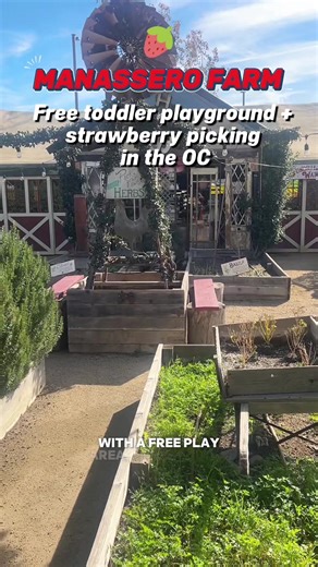 Family outing idea in Irvine 🍓 📍 Manassero Farms 33 Irvine Valley, Irvine, CA 92604 Have you heard of Manassero Farms before? Do you have another hidden gem in OC we should check out? #orangecountywithkids #irvine #ocmomlife #strawberrypicking #hiddengemoc #thingstodo #thingstodowithkids #oc