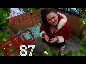 FML Tales From FMyLife CHRISTMAS SPECIAL #87 Litter Rascals