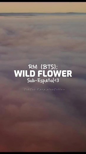 Wild Flower By RM Sub ESPAÑOL 💙 INDIGO #INDIGORM #INDIGO #RMBTS #bts #btsarmy #subespañol #fy #fyp #parati #namjoon #bts_official_bighit #btsrm #RM #wildflower #bts