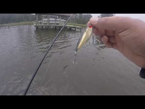 How I work a MIRROLURE for SPECKLED SEA TROUT