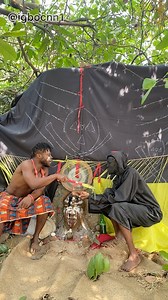 Agent of Dèstructìon have pushed me to the wall | IGBO CNN