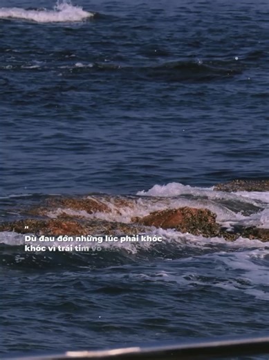 Hạnh phúc nhỏ bé giữa đêm lạnh lẽo