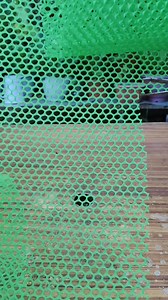 Easy DIY Coco pole Mamalyn's Garden #cocopole #plantpole #diy #trailingplants #homegarden #plantmom | Mamalyn's Garden