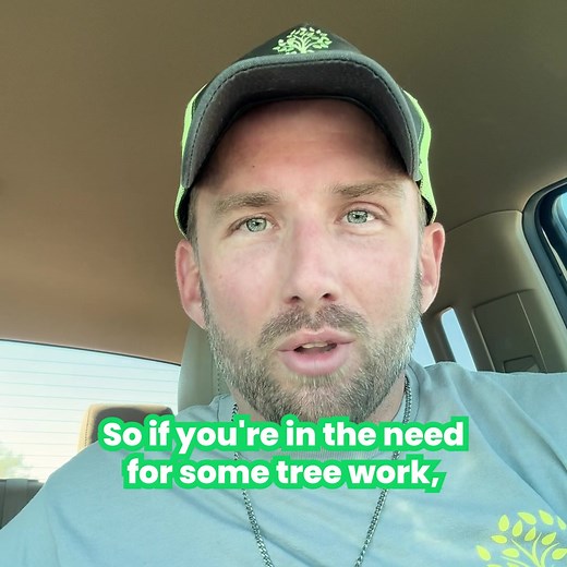 **Are you looking to have a tree removed/pruned?** If so, you are...