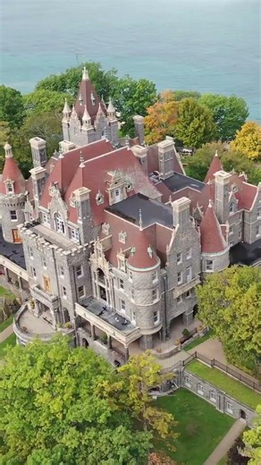 Green Under Morning Light#beautifulnaturalscenery #naturalvideo #relaxingvideo