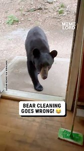 459K views · 6.2K reactions | It clearly just needs to clean its cave  | Meme Lord | Facebook