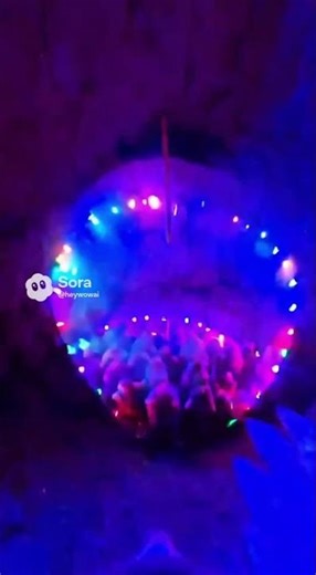 POV: Mole Finds an Underground Club 🕺🐹🎶