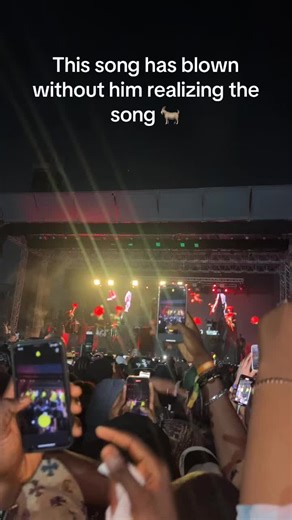 Rema performing his unreleased 🥶🐐. Lagos really came out for rema😮‍💨 #rema #dettydecember #lagostiktok #remaconcert