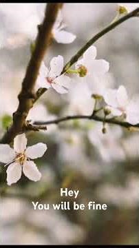 Relaxing Ambient | Music for soul and Focus