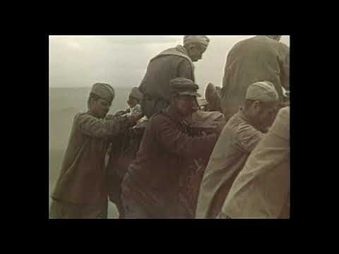 Babi Yar. Context | Clip