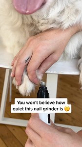 Stress free nail care for your furry friend with our Silent Nail Grinder! 🎉 🐕 Stress & Anxiety Free 🐾 Gentle & Safe for All Pets 🔇 Whisper-Quiet Operation 💵 Save on Grooming Costs Get 50% Off Free Delivery: https://pawfectpawz.com.au/products/silent-nail-grinder | PawfectPawz