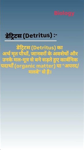 what is detritus ?