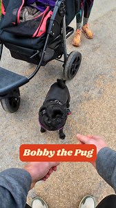 65K views · 1.3K reactions | "She's got a spinal deformity so she might sit on your foot" 沈 | My Best Friend | Facebook