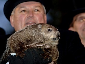 Groundhog Day 2021: When Will Spring Weather Come To Riverview