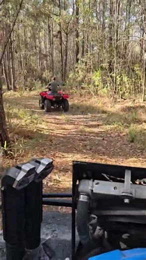 HOT February atv ride in the woods and dry swamps!