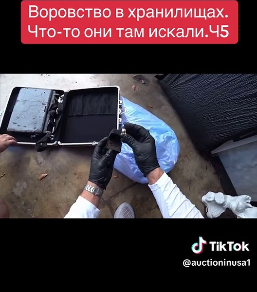 Аукцион контейнеров в США on TikTok