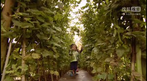 Mr_Blooms_Nursery_Get_Set_Grow_S01E18_Beanland