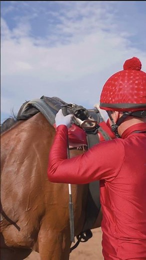 INSIDE the Race 🏇 Sean Veale POV at Summerveld
