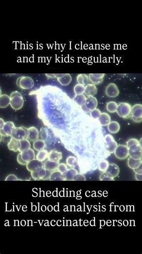 Stem n Rootz on Instagram: "I knew something was wrong in my body before I ever had words for it. My menstrual cycles had been consistent my entire life. Minimal cramping. Normal flow. Predictable. Then suddenly, everything changed extremely heavy bleeding, massive clots I had never experienced before, and a cycle that no longer felt like my own. At the time, I questioned myself. I wondered if it was stress. Age. Hormones. Diet. But what stood out was how unfamiliar this felt in my body. Months