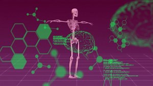 Animation of data processing over brain and skeleton | Premium Stock Video Footage