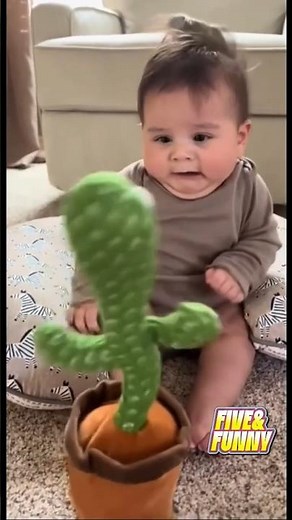 Top 9 funny baby reaction to cactus toy
