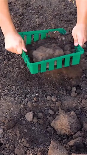 Effortless Garden Maintenance Tips for a Perfect Yard! | 5-Minute Crafts Green