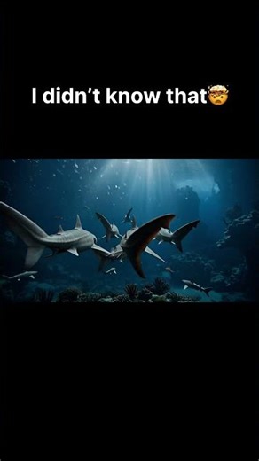 The Earth Is Full of Surprises #facts #earthfacts #amazingfacts #didyouknow #interestingfacts