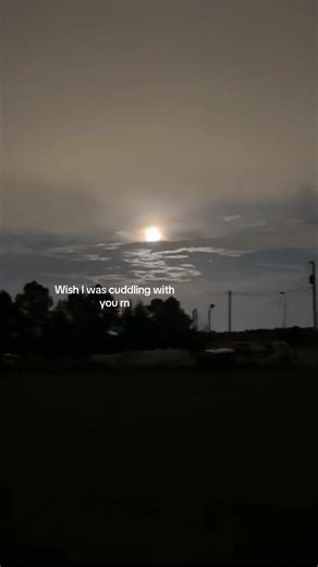 Cuddle Moments: Cute Love Between Couples