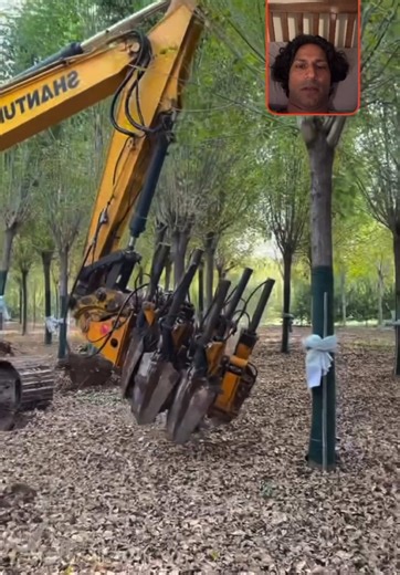 Mad scientist invents the shovel claw machine