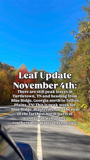 4 comments | Follow @visitnorthgeorgia for daily leaf color updates!...