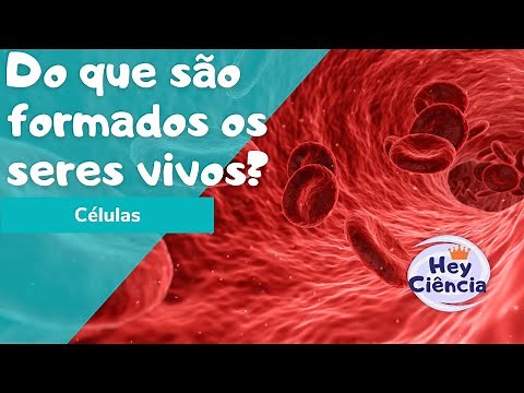 Célula como unidade da Vida - 6° ano