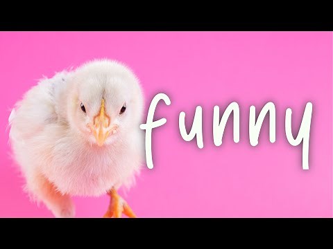 ROYALTY FREE Comedy Video Music | Funny Background Music Royalty Free by MUSIC4VIDEO