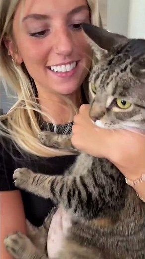 Wrong cat 🐈 ‪@Fantasysdreamland‬