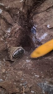 41K views · 231 reactions | Örme Duvarın Altındaki Define Bulundu... https://mytechdedektor.com #defineci #defineciyener #defineavcisi #define #definebulmaanı #definekayakasası #definekasası #treasure ​ #metaldetecting​ #клад #tesouro #كنز Bu Video Kurgulanmıştır.... İşaretleri Kırmayalım.. İzinsiz Kazı Yapmayalım. | Mat Dedektör | Facebook