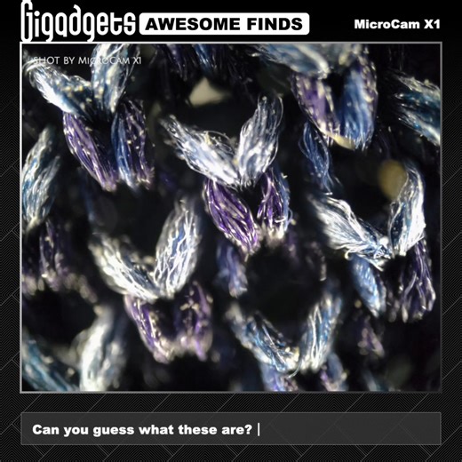 19K views · 41 reactions | Littpopo MicroCam X1 is a versatile,...