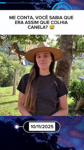 Colheita e Produção da Canela Fresca