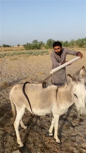 2.1K views · 24 reactions | Nag raja khoty pi | Fix-It Fast | Facebook