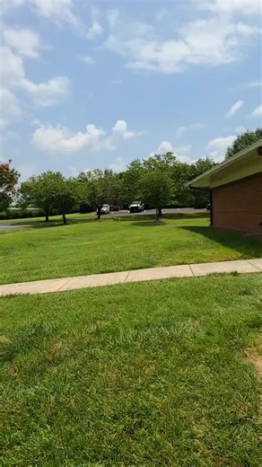 carolinavetrec on TikTok