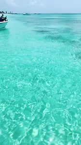 11K views · 598 reactions | So cool!! Massive 15ft Manta Ray swimming around our boat. #summer2022 | Detective Frank Peñate | Facebook