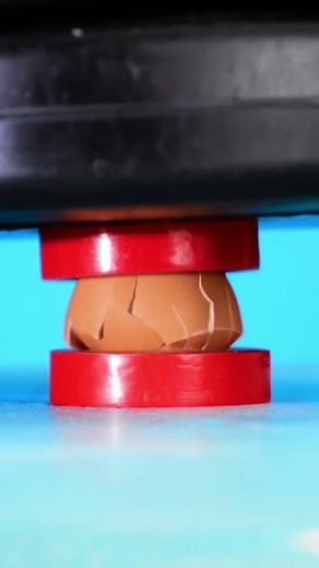 Egg Crusher! Discover the Weight Capacity of an Egg