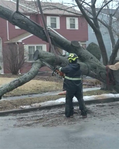 A Chainsaw Cutting Through Wood is the Sweetest Sounds on Earth
